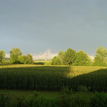 Privatzimmer Mit Aussicht เพียร์นา ภายนอก รูปภาพ