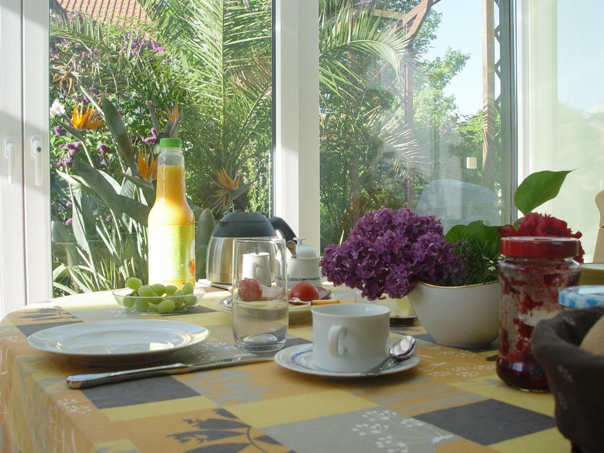 Privatzimmer Mit Aussicht เพียร์นา ภายนอก รูปภาพ